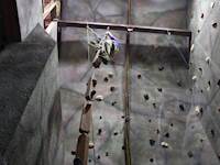 Climbing Gym