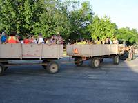 Hayride